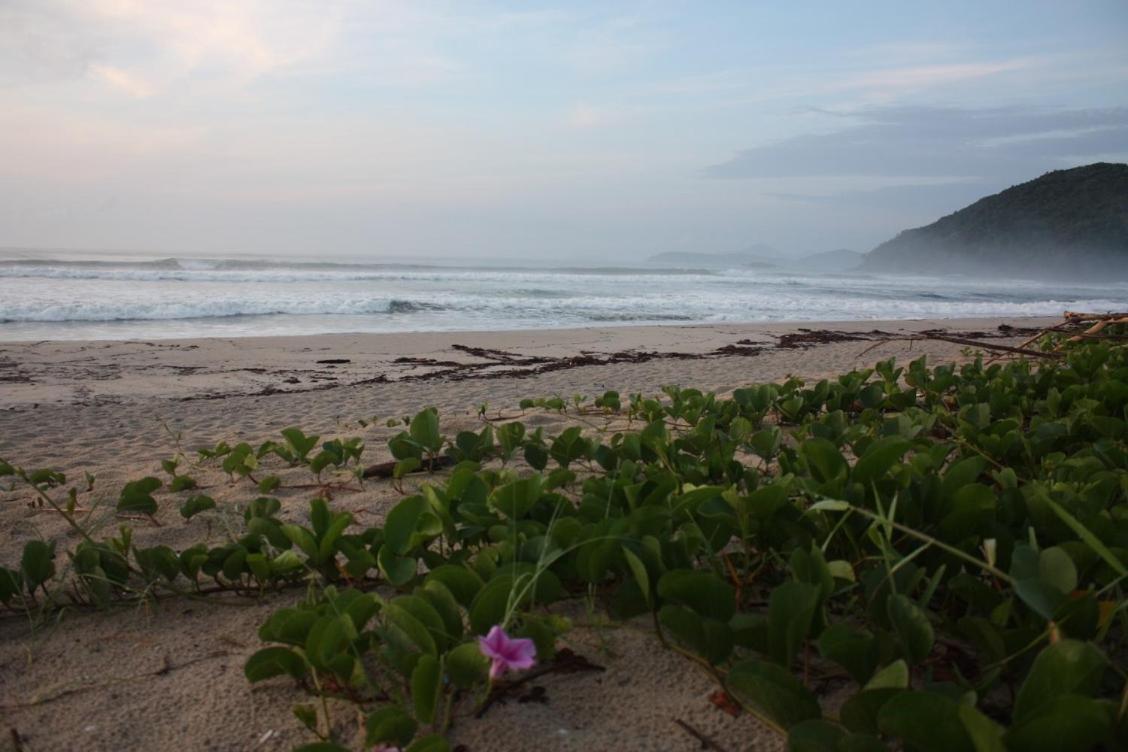 Maloquinha Itamambuca. A Mais Charmosa De Ubatuba. Extérieur photo